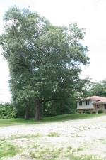 MLS# PA1258908