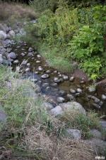 MLS# PA1260131