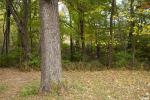 MLS# PA1261679
