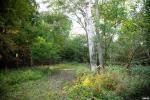 MLS# PA1270962